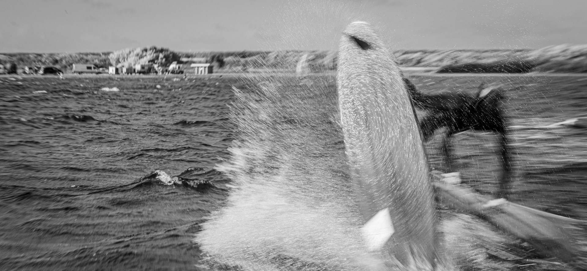 Surf center Brouwersdam | Ouddorp (NL) - Sport